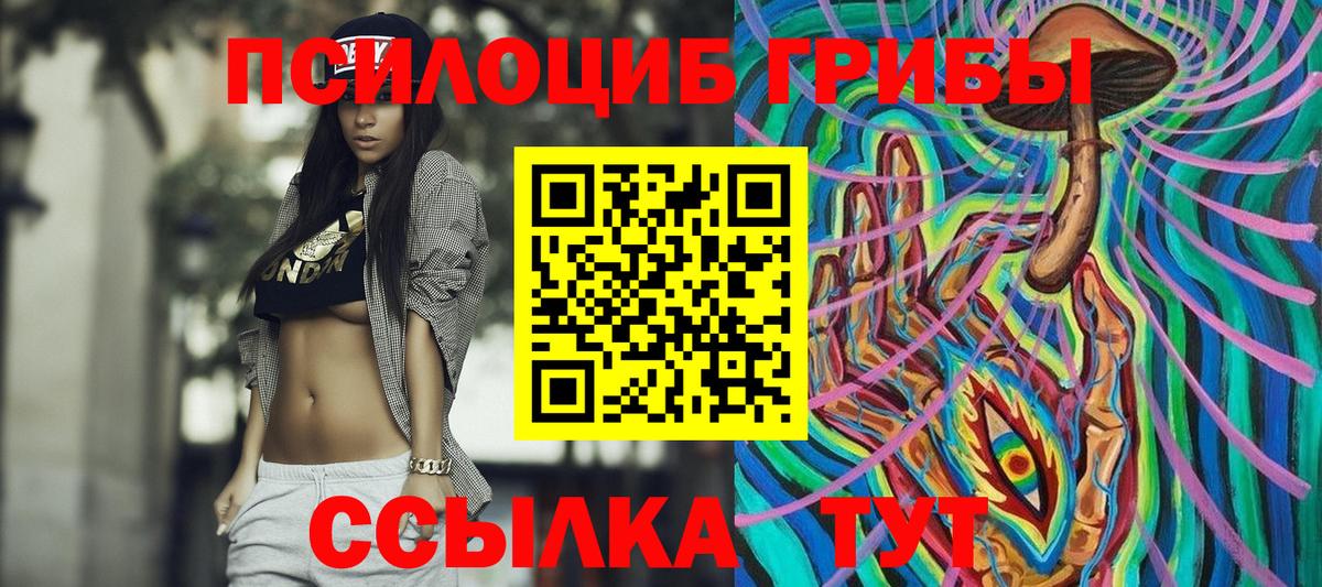 Псилоцибиновые грибы Psilocybine cubensis Обнинск